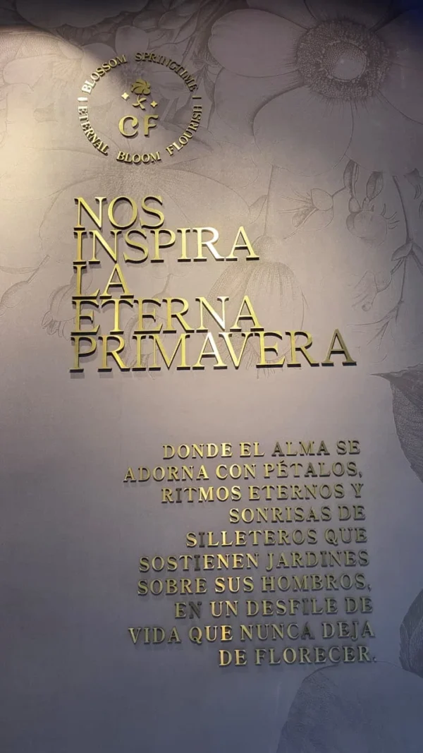Marca 203
