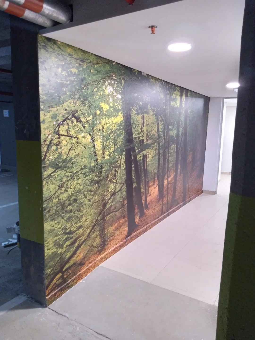 Murales 209