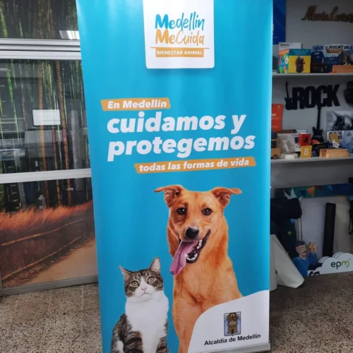 Pendones 223